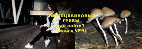 МДМА Кодинск