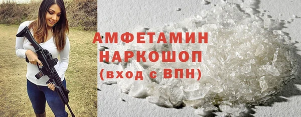 амф Козловка