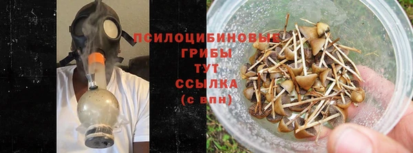 амф Козловка