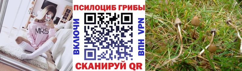 наркотики  shop Telegram  Галлюциногенные грибы мухоморы  Северск 