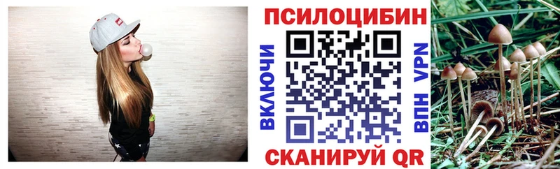 Псилоцибиновые грибы Magic Shrooms Северск